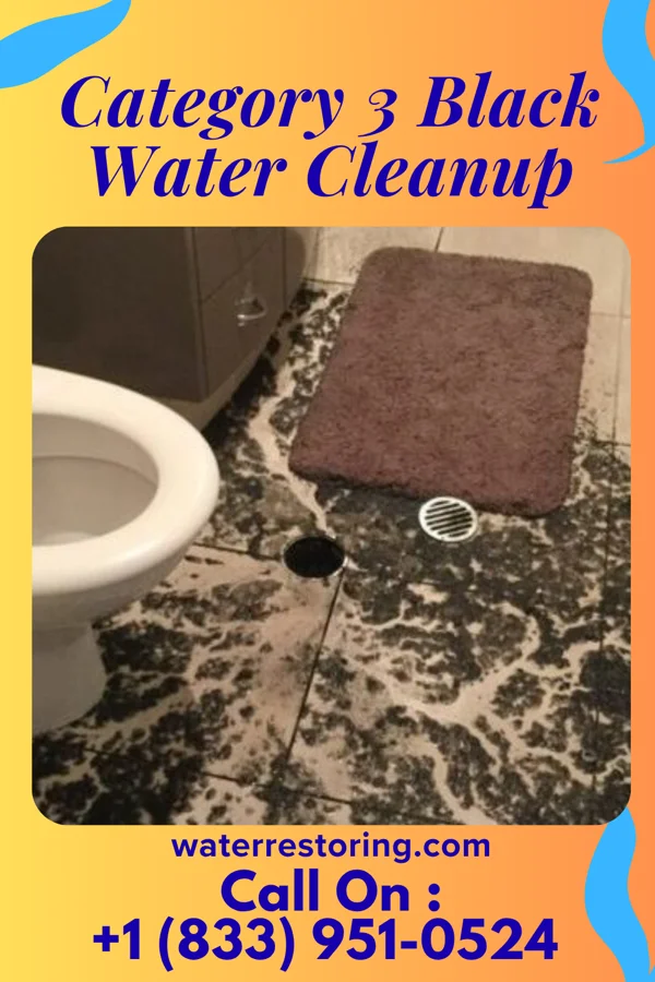 Category 3 Black Water Cleanup in South Jordan, UT