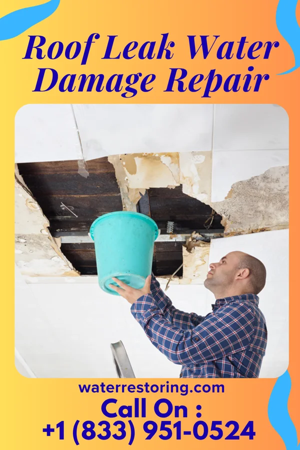 Roof Leak Water Damage Repair in South Jordan, UT